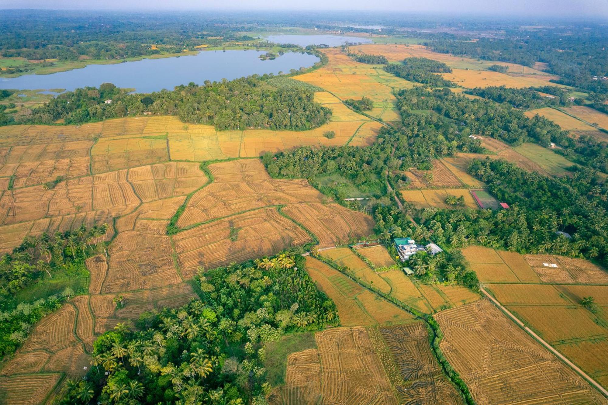 Mailagama Cinnamon Residence Kataragama Esterno foto