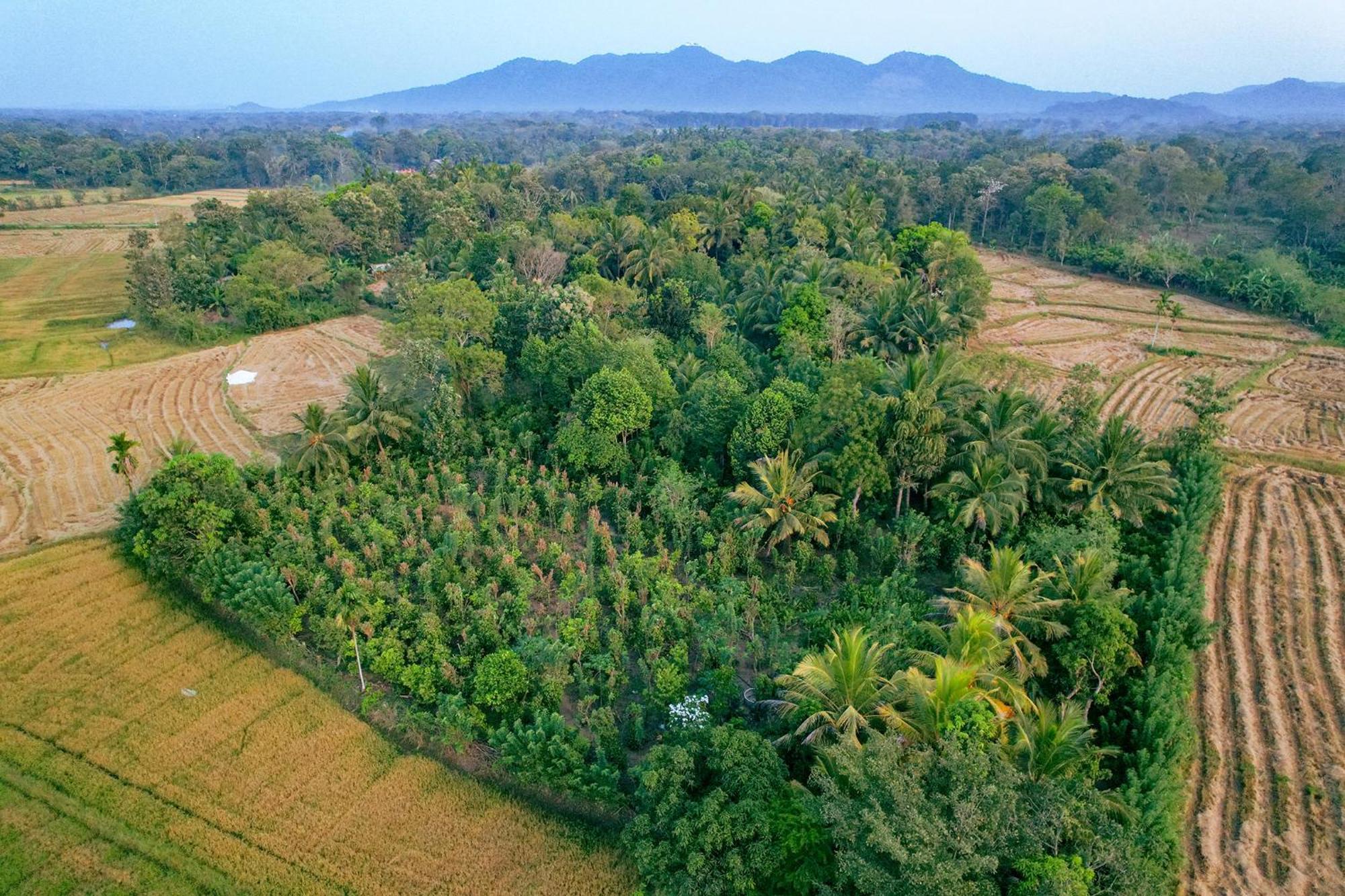 Mailagama Cinnamon Residence Kataragama Esterno foto